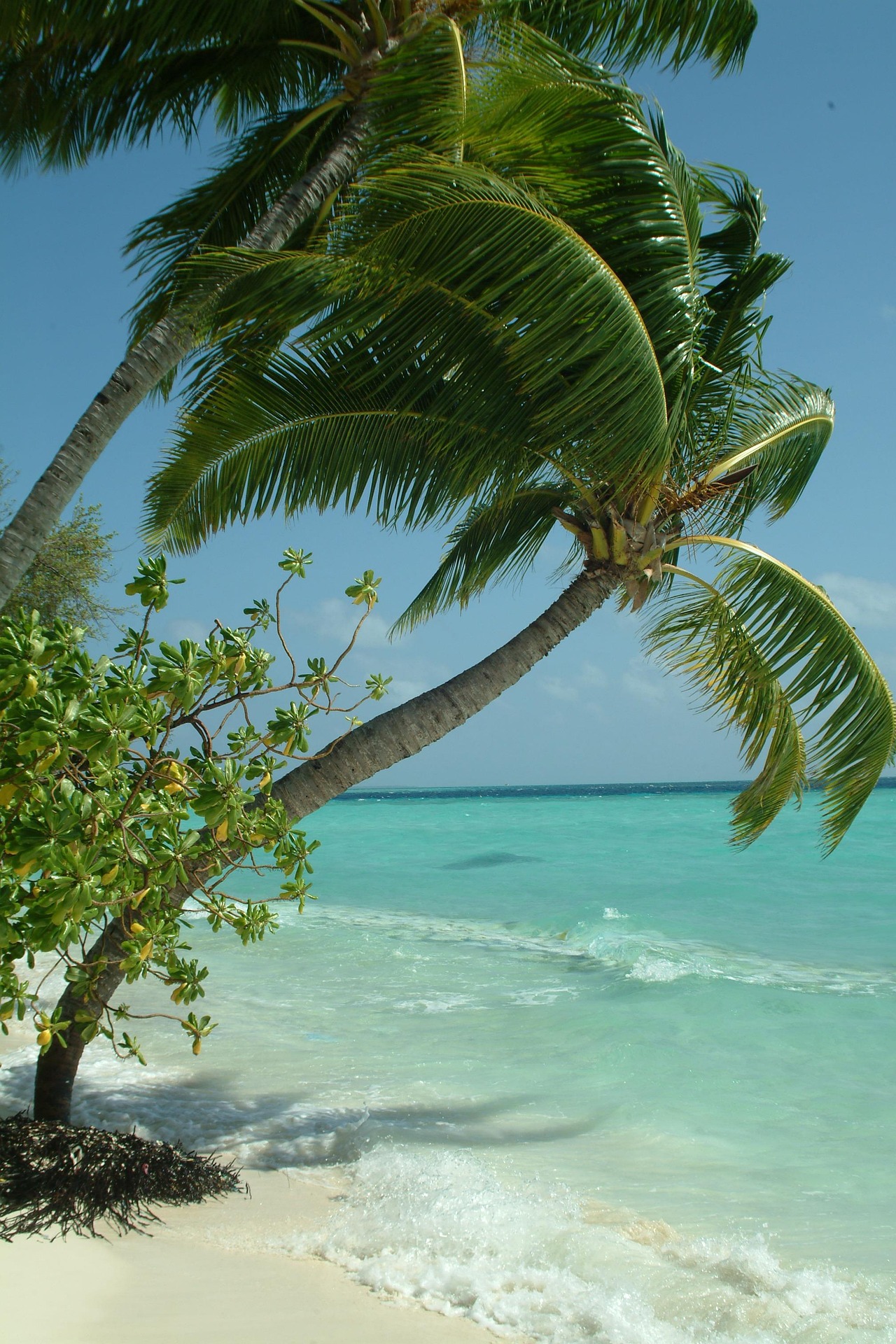 Maldives beach